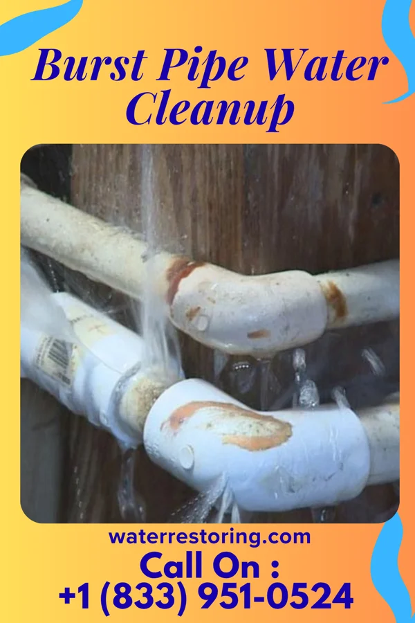 Burst Pipe Water Cleanup in Nicholson, PA