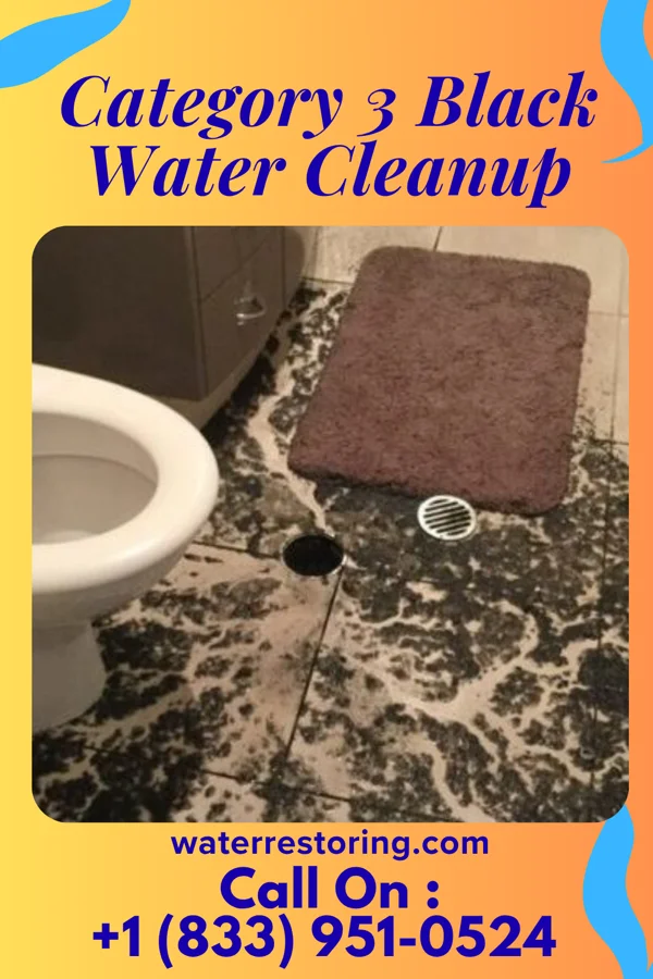 Category 3 Black Water Cleanup in Nicholson, PA