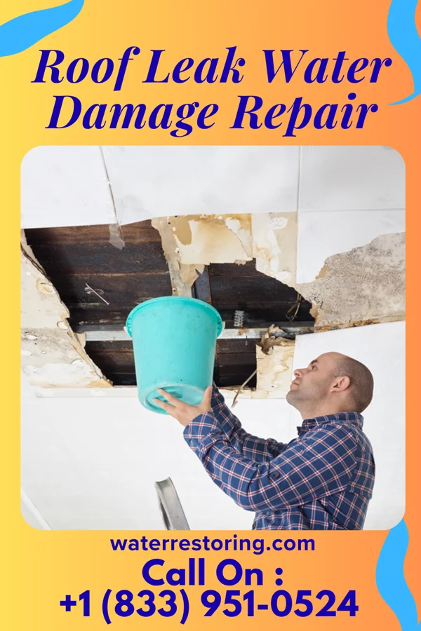 Roof Leak Water Damage Repair in Nicholson, PA