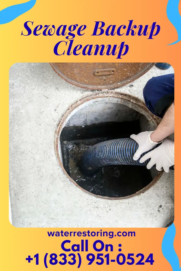 Sewage Backup Cleanup in Nicholson, PA
