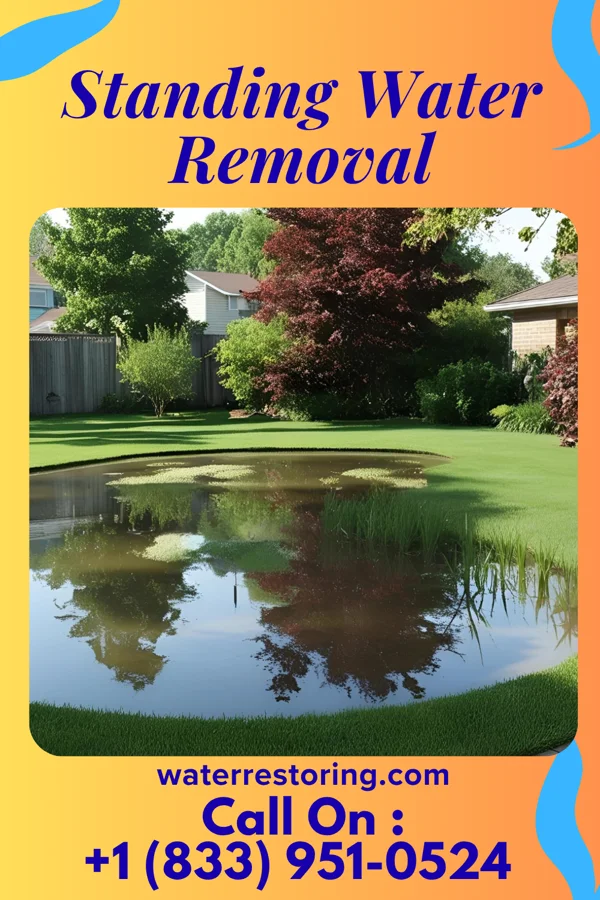 Standing Water Removal in Nicholson, PA